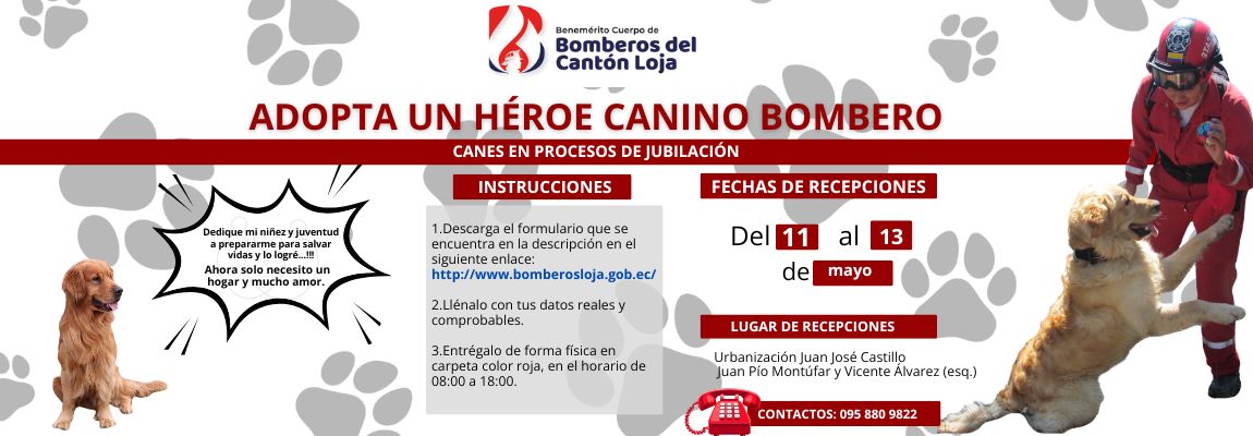Abnegación y Disciplina Departamento de Comunicación del CBL Telf.- 257-81-80 ext 113 2