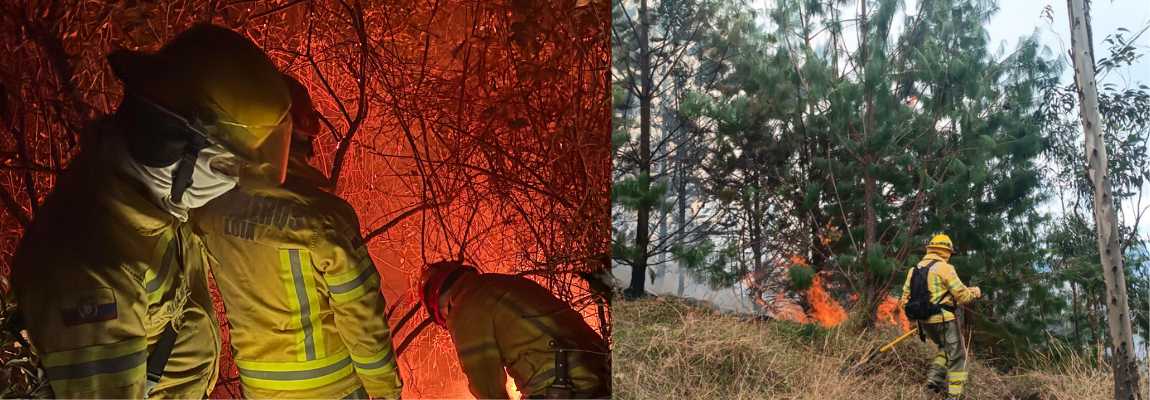 Boletin Incendios Forestales